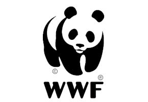 Αναλυτής οικονομικών πολιτικών στη WWF Ελλάς