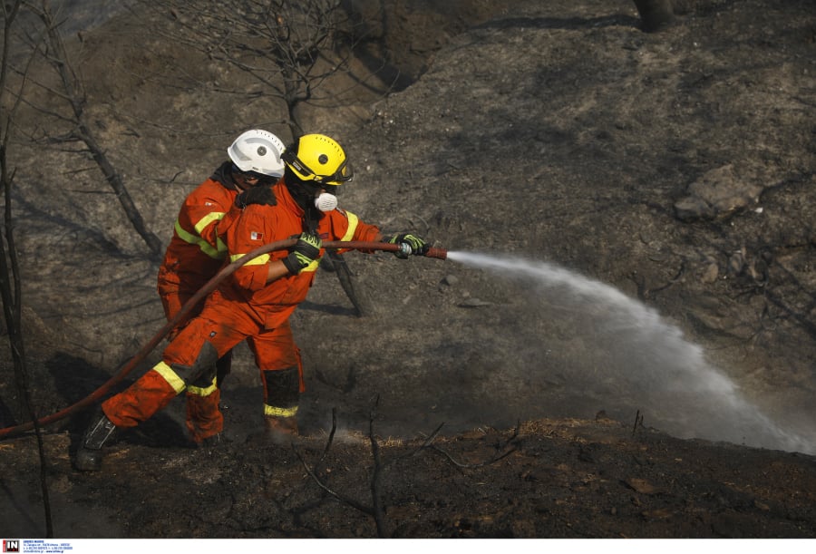 Αλλάζουν τα δρομολόγια των πλοίων εξαιτίας της μεγάλης φωτιάς στην Αττική