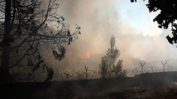 Λεηλασίες στα καμένα της βορειοανατολικής Αττικής